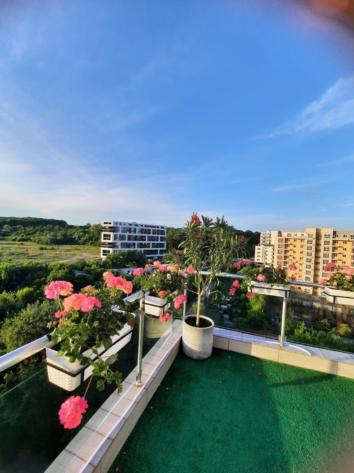 Penthouse View Aeroport Iasi 2 Apartment Exterior foto